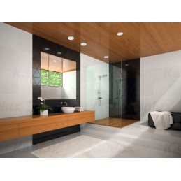 Luminaire de plafond downlight AREL LED