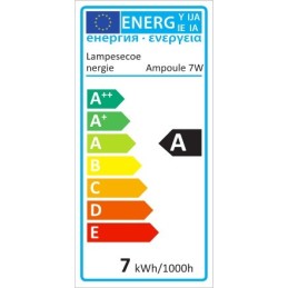 Lot de 10 Ampoules économie d’énergie Mini-Fluo sphérique 7W