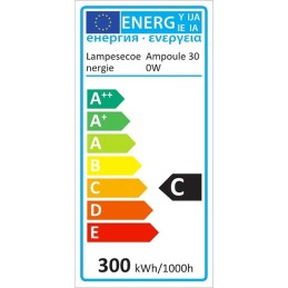 Lot de 10 ampoules halogènes 300W - Éclairez votre vie avec une lumière chaude 2800K gradable R7s!