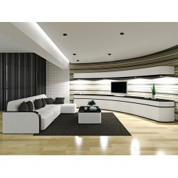 Transformez votre intérieur avec les Fixations AJAS noires matte pour spots encastrables