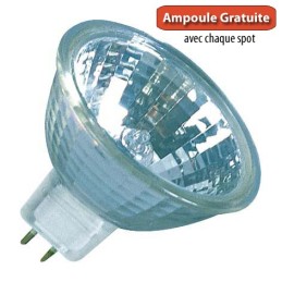 Spot Bain et Douche Etanche IP65 Nickel Satiné avec ampoule halogene MR16 (GU5.3) 12V