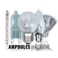AMPOULES HALOGENE