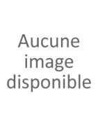 AMPOULES DICHROIQUE